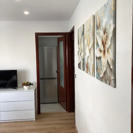 Flor De Lis Apartment Vigo Exterior photo
